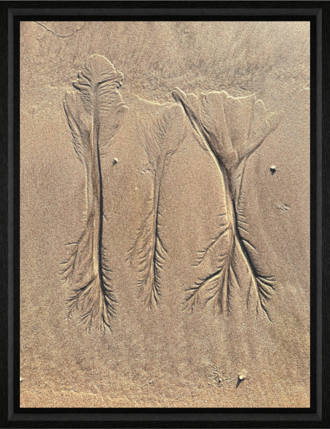 Dendritic sand pattern carved by water on Bahia coast Brazil - fine art photography by Sensorial Atelier