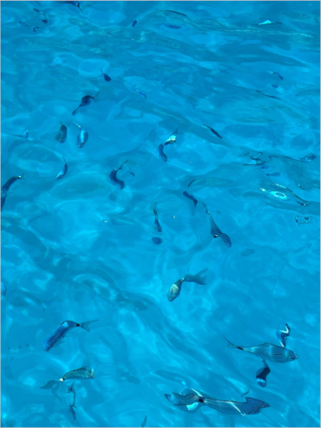Crystal-clear turquoise Mediterranean water photographed in Baunei Sardinia - fine art photography by Sensorial Atelier