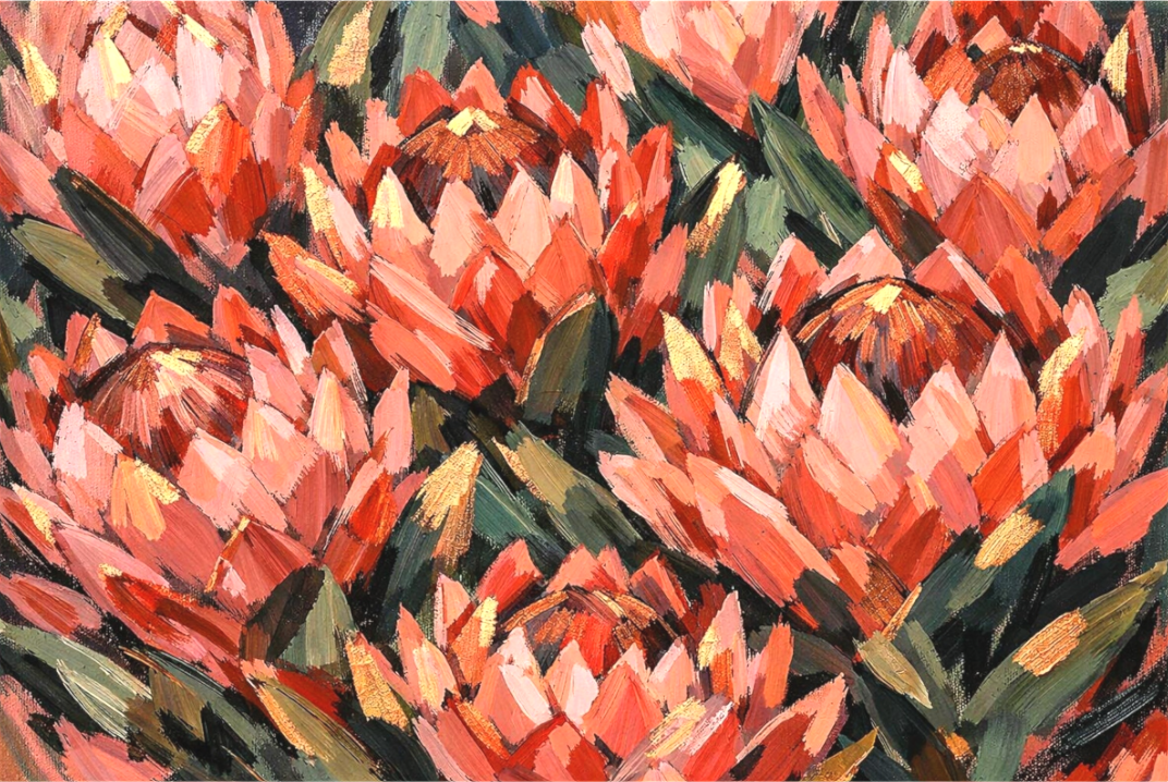 Main image Coral Proteas