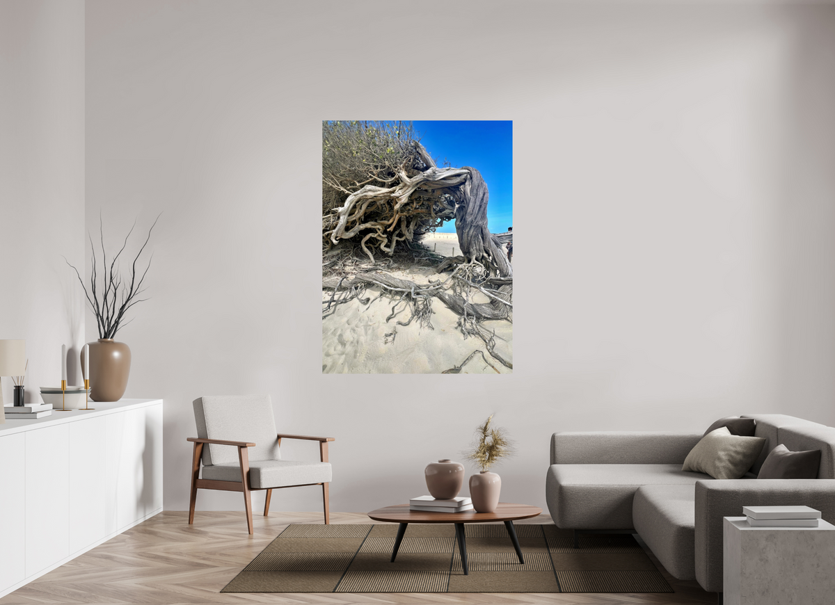 120 x 160 cm, Photo Print On Fuji Crystal DP II jericoacoara  BR 2024