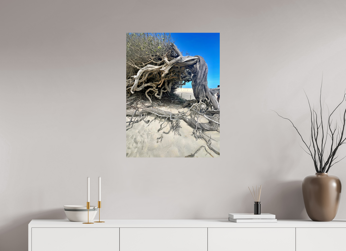 60 x 80 cm, Photo Print On Fuji Crystal DP II jericoacoara  BR 2024