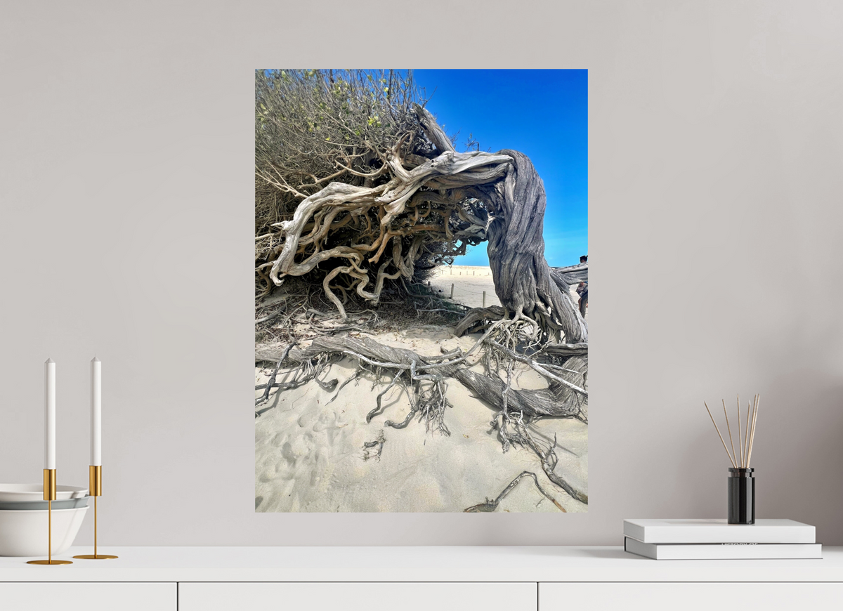 45 x 60 cm, Photo Print On Fuji Crystal DP II jericoacoara  BR 2024