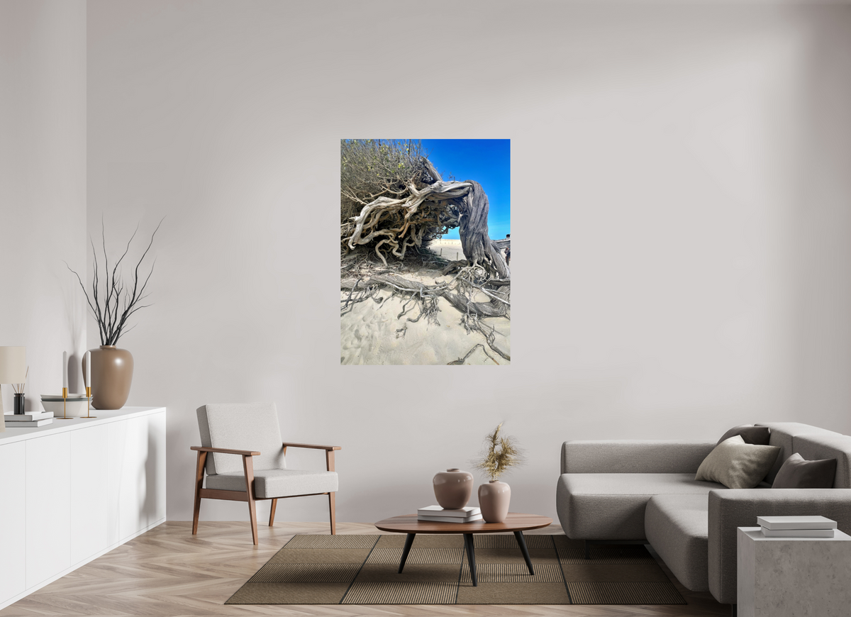 105 x 140 cm, Photo Print On Fuji Crystal DP II jericoacoara  BR 2024