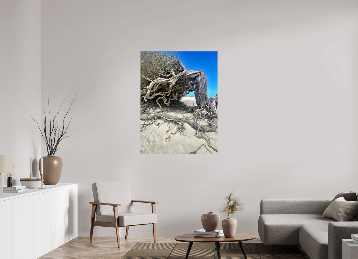 90 x 120 cm, Photo Print On Fuji Crystal DP II jericoacoara  BR 2024