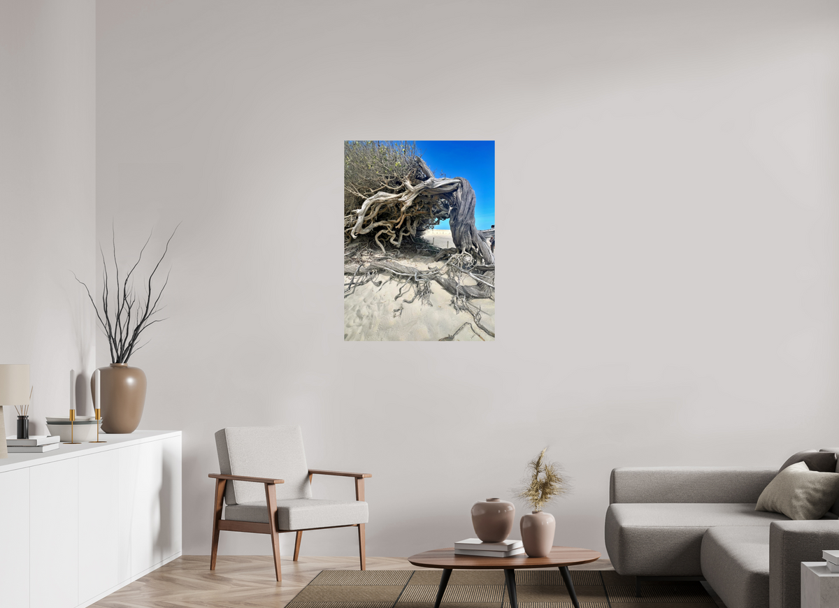 75 x 100 cm, Photo Print On Fuji Crystal DP II jericoacoara  BR 2024