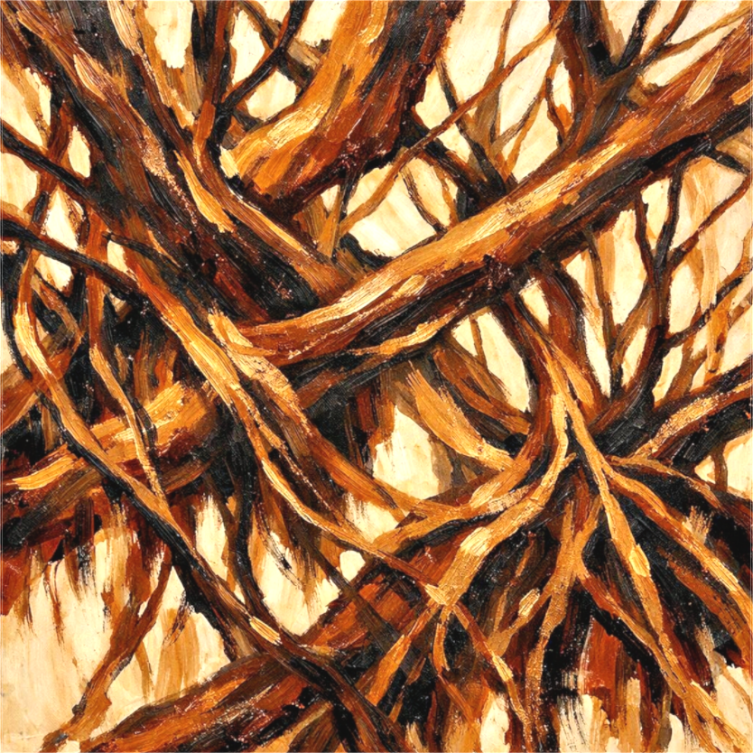 Main image roots I